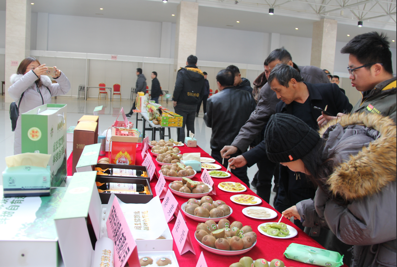 20181210/c068639656ff5c5d431136968a9a8e12.png 20181210/c068639656ff5c5d431136968a9a8e12.png